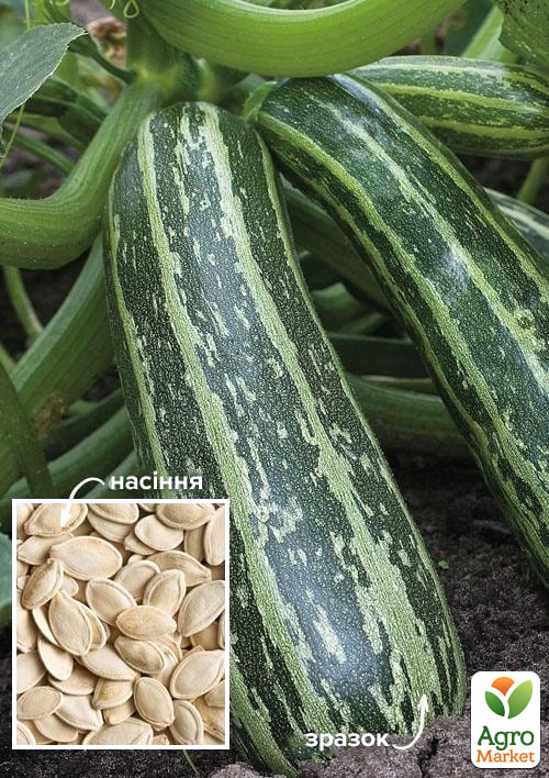 

На развес Кабачок Тигрёнок ТМ Весна цена за 8г