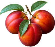 Скрещенный персик Скрещенный персик