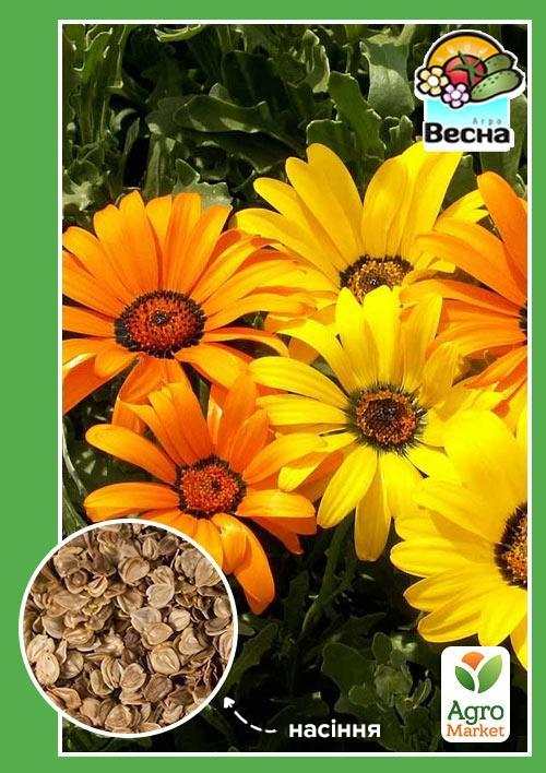 

Диморфотека низкорослая Выемчатая ТМ Весна 0.3г