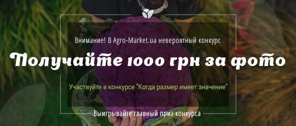 Внимание! У нас невероятный конкурс! Внимание! У нас невероятный конкурс!