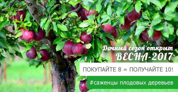 Выгодные подарки в Agro-Market до 8 марта! Выгодные подарки в Agro-Market до 8 марта!