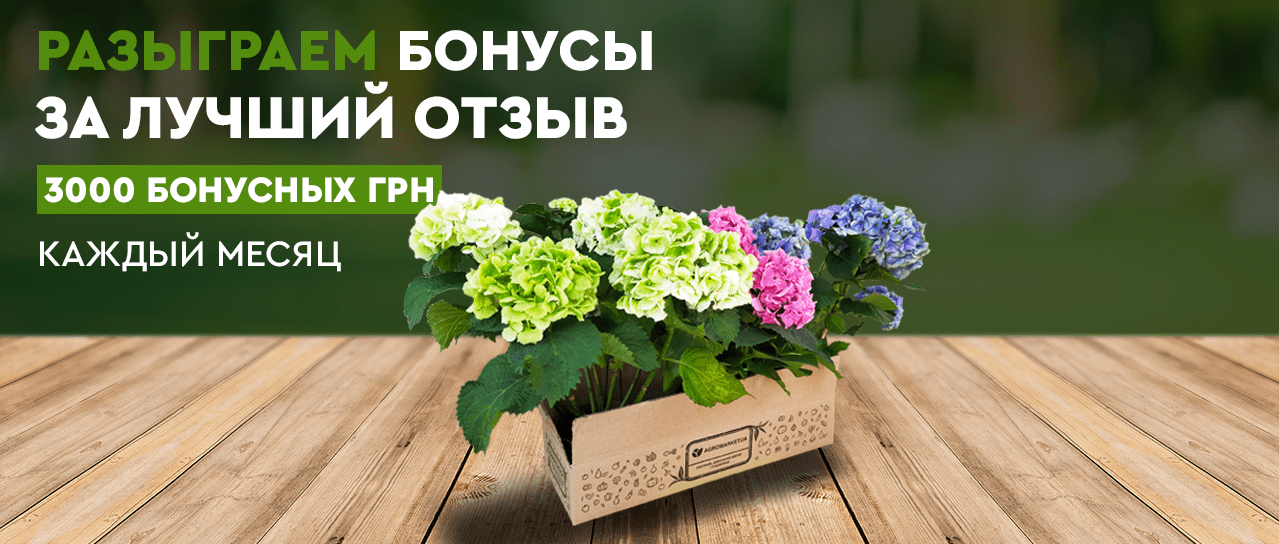 Акция! 3000 бонусных гривен за лучший отзыв Акция! 3000 бонусных гривен за лучший отзыв