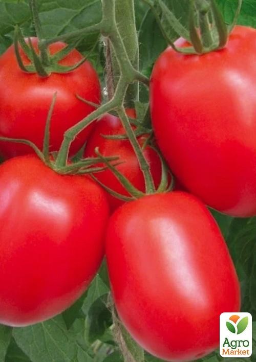 

Томат детерминантный "Рио Гранде" ТМ "Lark Seeds" 500г