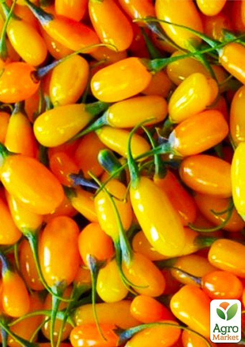 

Годжі жовтий Голден Беррі (Golden Berry)