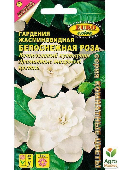 Gardenia Интернет Магазин Растений