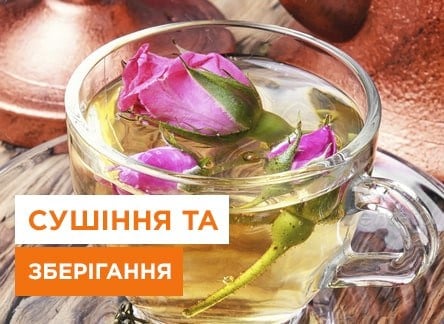 Ефективні методи засушування троянд для приготування чаю - корисні статті про садівництво від Agro-Market