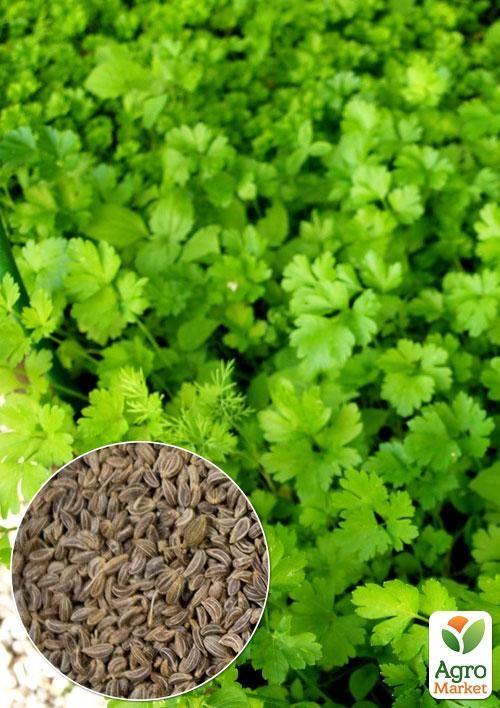 

На вагу Петрушка Богатир ТМ Весна ціна за 10г