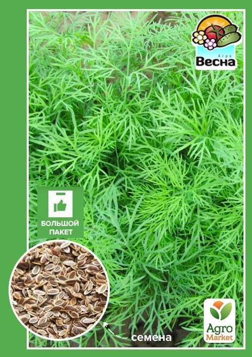 

Укроп Харьковский-85 (Большой пакет) ТМ Весна 6г