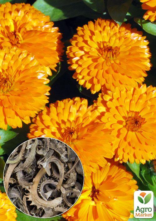 

На развес Календула Солнце Египта ТМ Весна цена за 3г