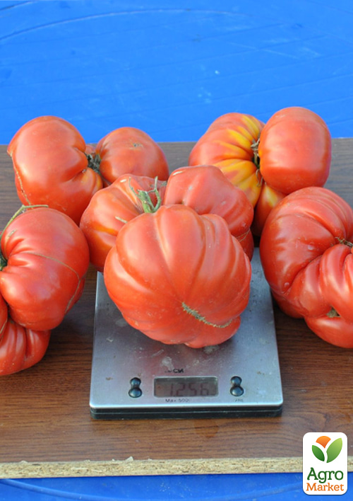 

Томат Big Zac ТМ Vesna Select 20шт