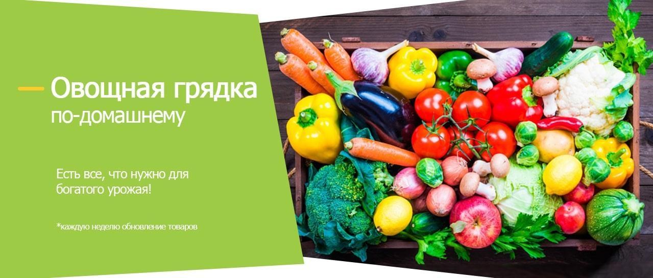 Акция! Овощная грядка Акция! Овощная грядка