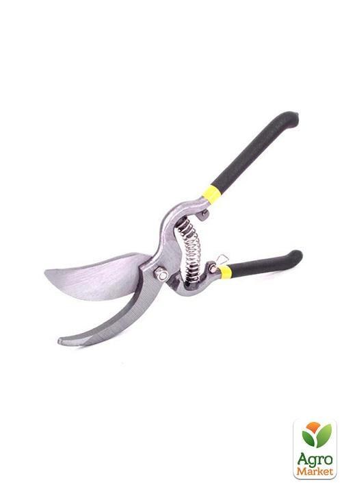 

Секатор 250мм ТМ INTERTOOL FT-1004