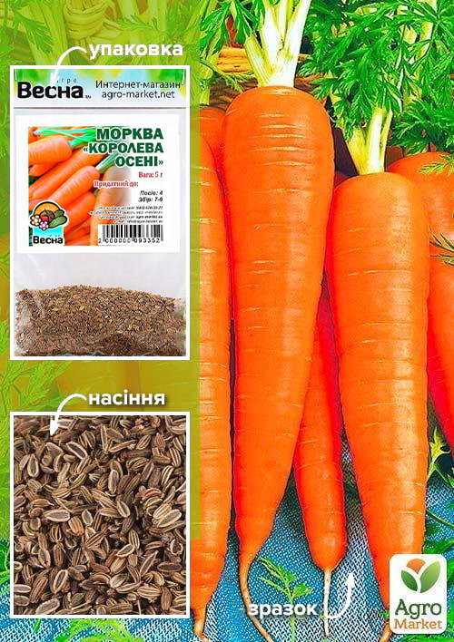 

Морковь Королева осени (Зипер) ТМ Весна 5г