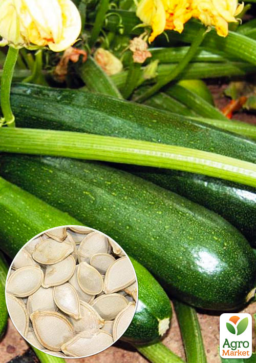 

На вагу Кабачок Нефертіті ТМ Весна ціна за 8г