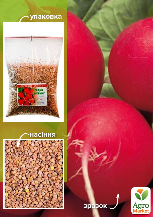 

Редис Рубін ТМ Весна 500г