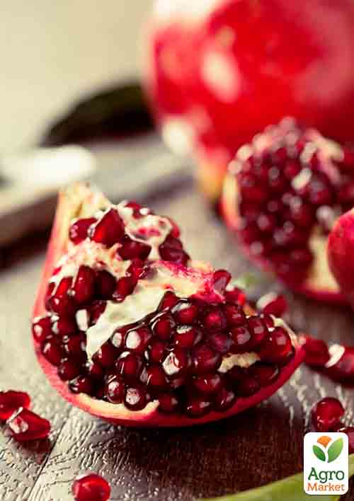 

Эксклюзив! Гранат алого темно-красного цвета с блестящим оттенком Тролль (Troll) (премиальный, теневыносливый, высокоурожайный, неприхотливый сорт)