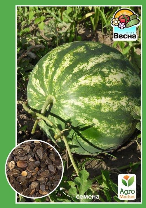 

Арбуз "Вересковый мед" (Новый пакет) ТМ "Весна" 2г