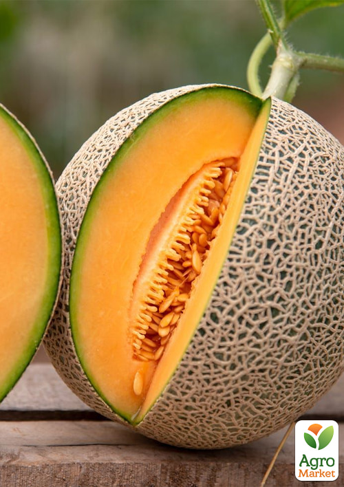 

Комплект насіння дині Медова Солодкість 5уп