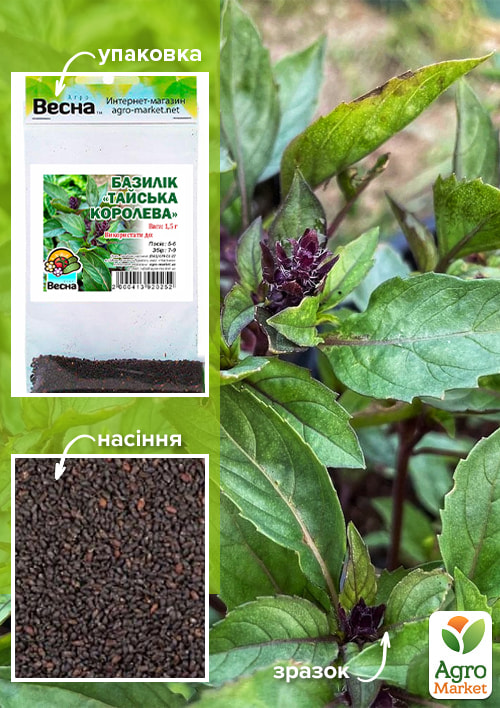 

Базилік Тайська королева (Зіпер) ТМ Весна 1,5г