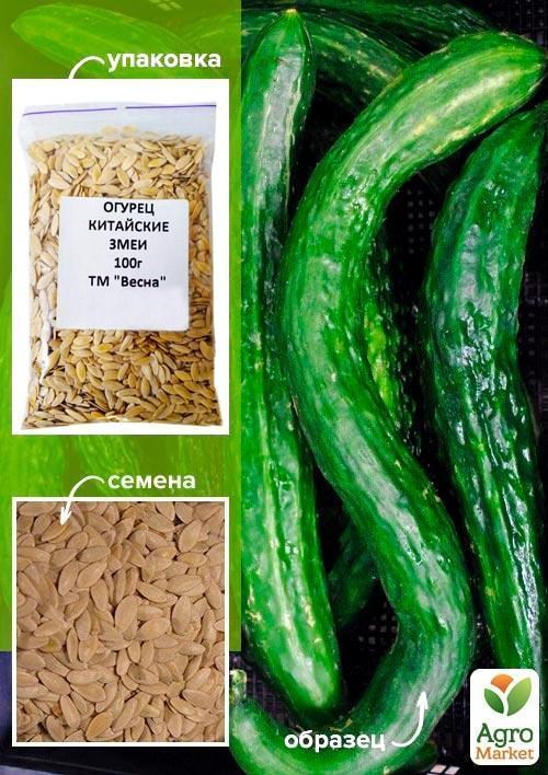 

Огурец "Китайские змеи" ТМ "Весна" 100г
