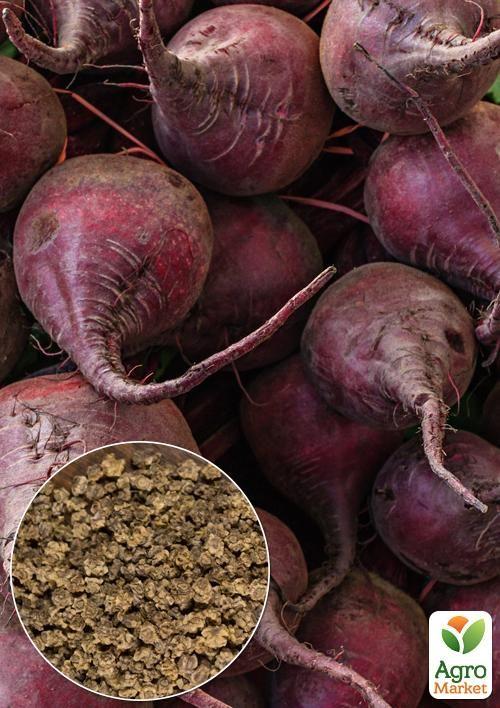 

На вагу Буряк Червона куля ТМ Весна ціна за 10г