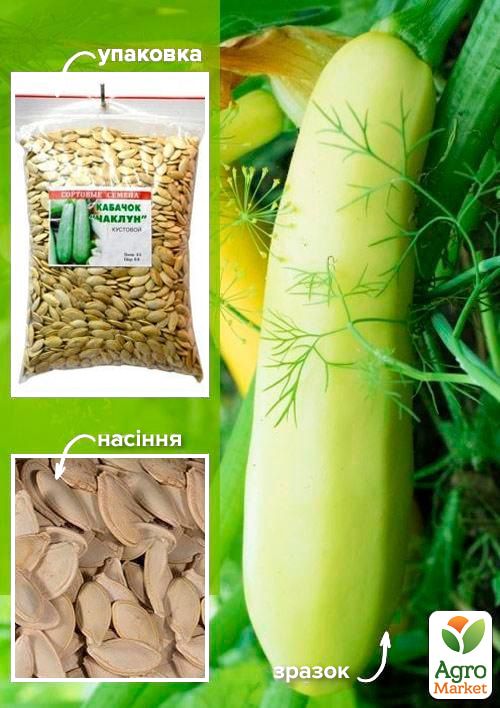 

Кабачок Чаклун ТМ Весна 500г