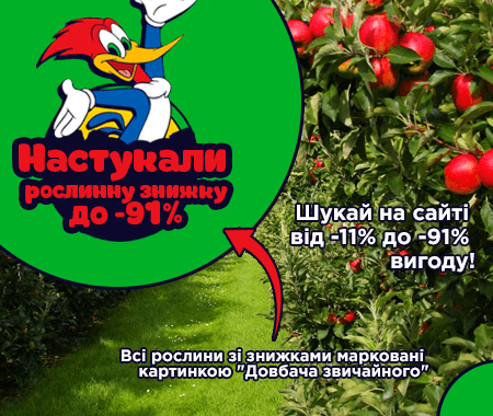Настукали рослинну знижку до -91% Настукали рослинну знижку до -91%