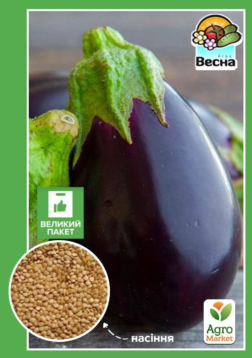 Баклажан "Чорний красень" (Великий пакет) ТМ "Весна" 1г