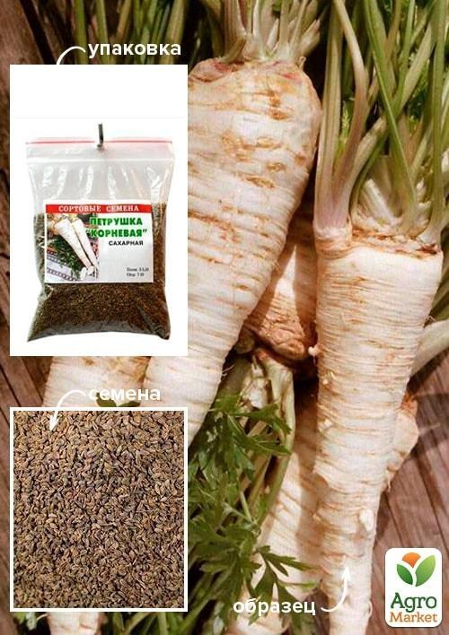 

Петрушка "Корневая" ТМ "Весна" 100г