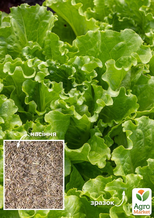 

На развес Салат Хрустящий витамин ТМ Весна цена за 8г