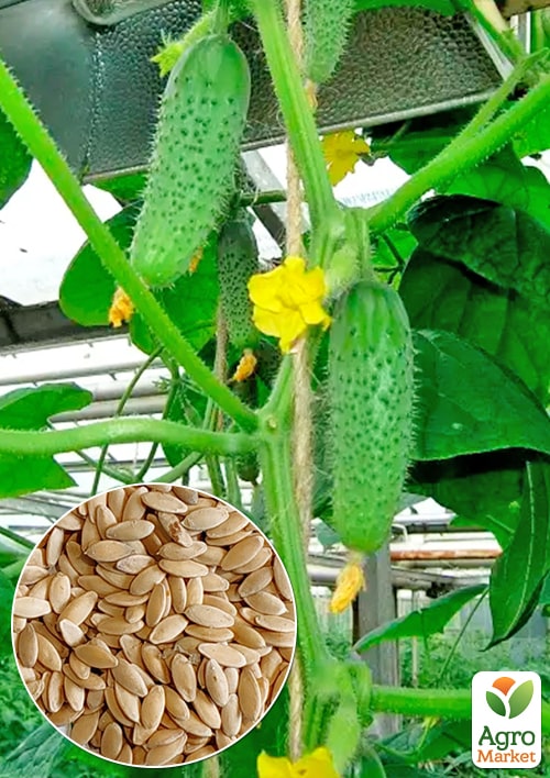 

Огурец Хрустящий ТМ Весна 0.5г