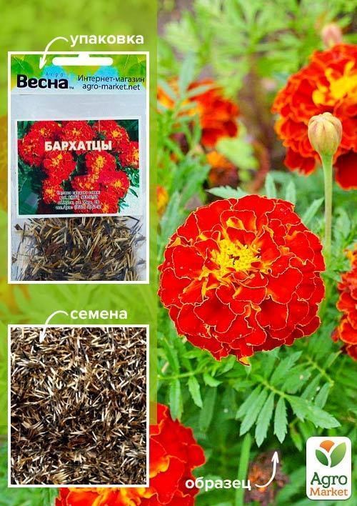 

Бархатцы Красные (Зипер) ТМ Весна 1г