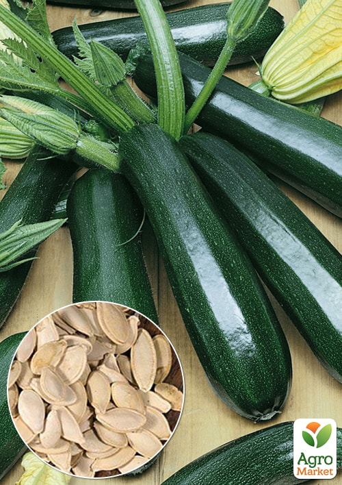 

На вагу Кабачок Амбассадор ТМ Весна ціна за 8г