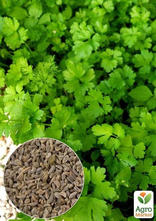 

На вагу Петрушка Гігантелла ТМ Весна ціна за 10г