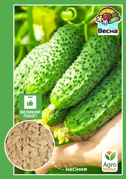

Огурец Конкурент (Большой пакет) ТМ Весна 2г