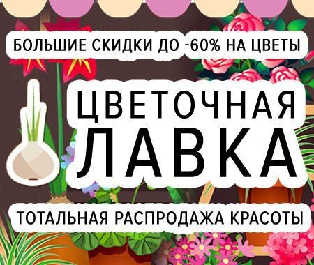 Цветочная лавка: 37 399 сортов луковиц со скидками до -60% Цветочная лавка: 37 399 сортов луковиц со скидками до -60%