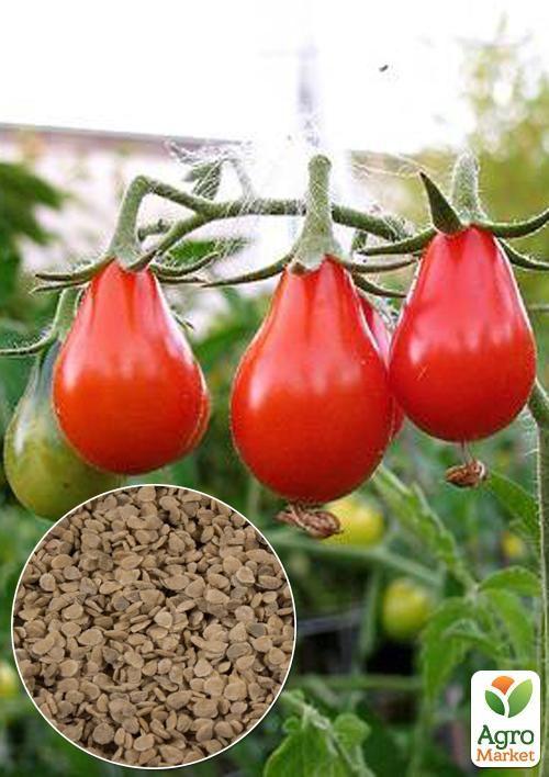 

На вагу Томат Груша червона ТМ Весна ціна за 1г