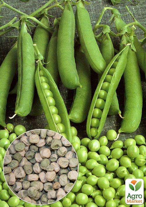 

На вагу Горох Цукровий стручок ТМ Весна ціна за 50г