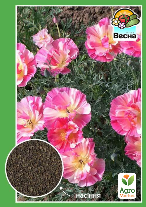 

Ешшольція Яблуневий Цвіт ТМ Весна 0.3г