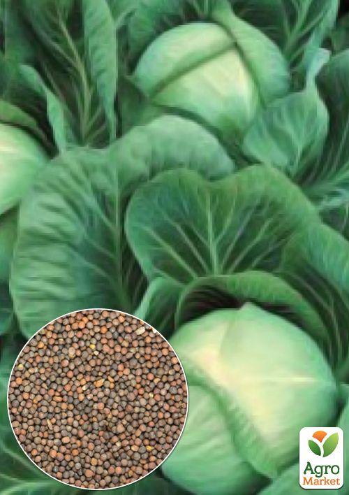 

На вагу Капуста Ярославна ТМ Весна ціна за 6г