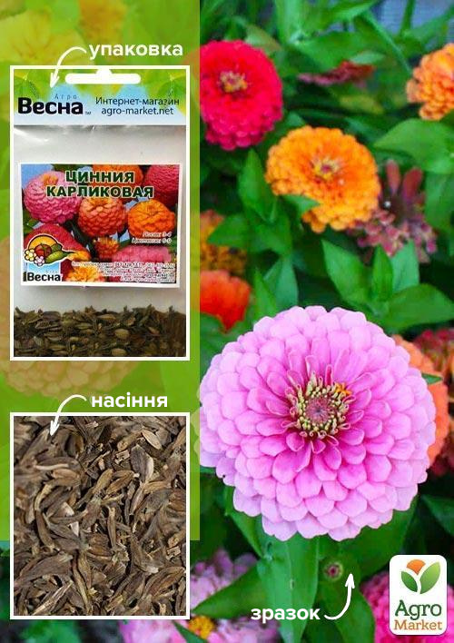 

Цинния Карликовая смесь (Зипер) ТМ Весна 1г