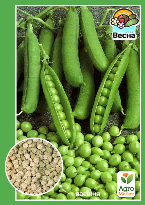 

Горох Сладкая гроздь (Новый пакет) ТМ Весна 10г