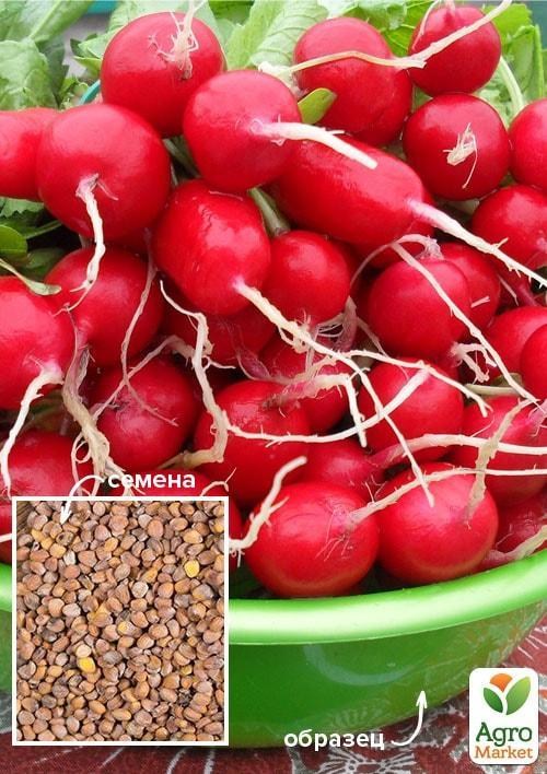 

Редис Все сезоны ТМ Весна 100г