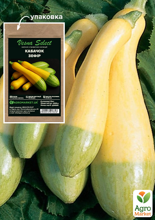 

Кабачок Зефір ТМ Vesna Select 10шт