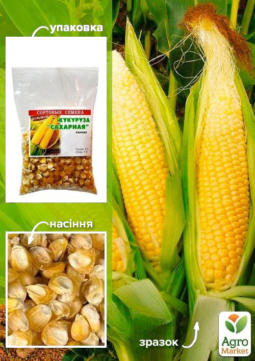 

Кукурудза Цукрова ТМ Весна 100г