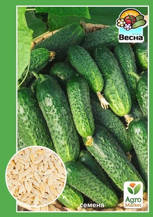 

Огурец Вересень ТМ Весна 0.5г