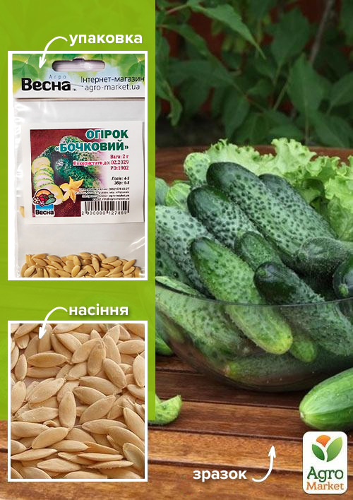 

Огірок Бочковий (Зипер) ТМ Весна 2г