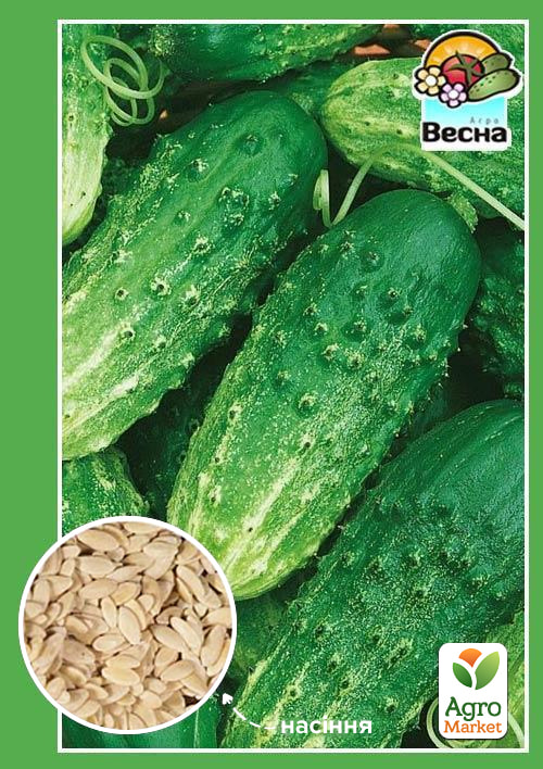 

Огірок Льоша F1 ТМ Весна 0.5г