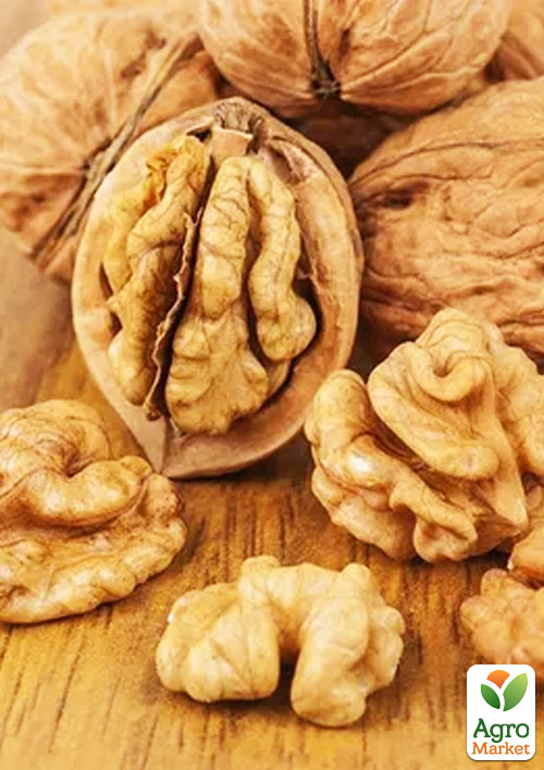 

Волоський горіх щеплений Hartley (селекція США, середній термін дозрівання)