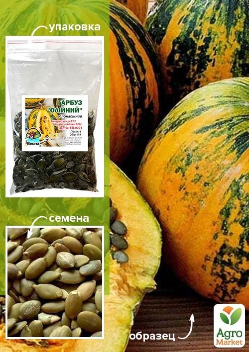 

Тыква Масляная ТМ Весна 100г
